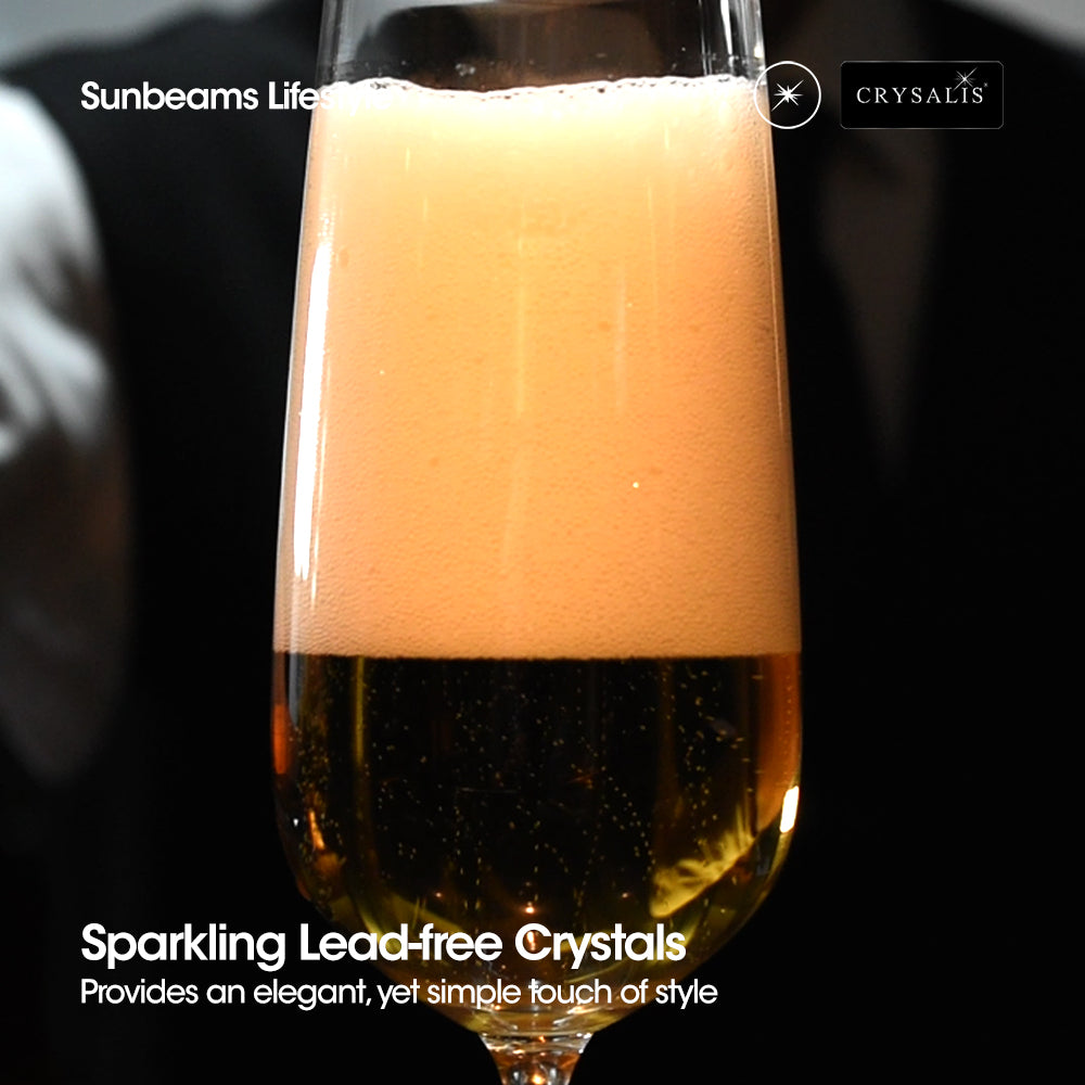 CRYSALIS Premium Crystal Stemware Beer Goblet [Set of 2]