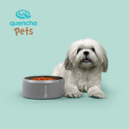 Quencha Double Wall Stainless Steel Pet Bowl