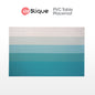 Slique Placemat PVC Woven Dining Table Mat 45x30cm