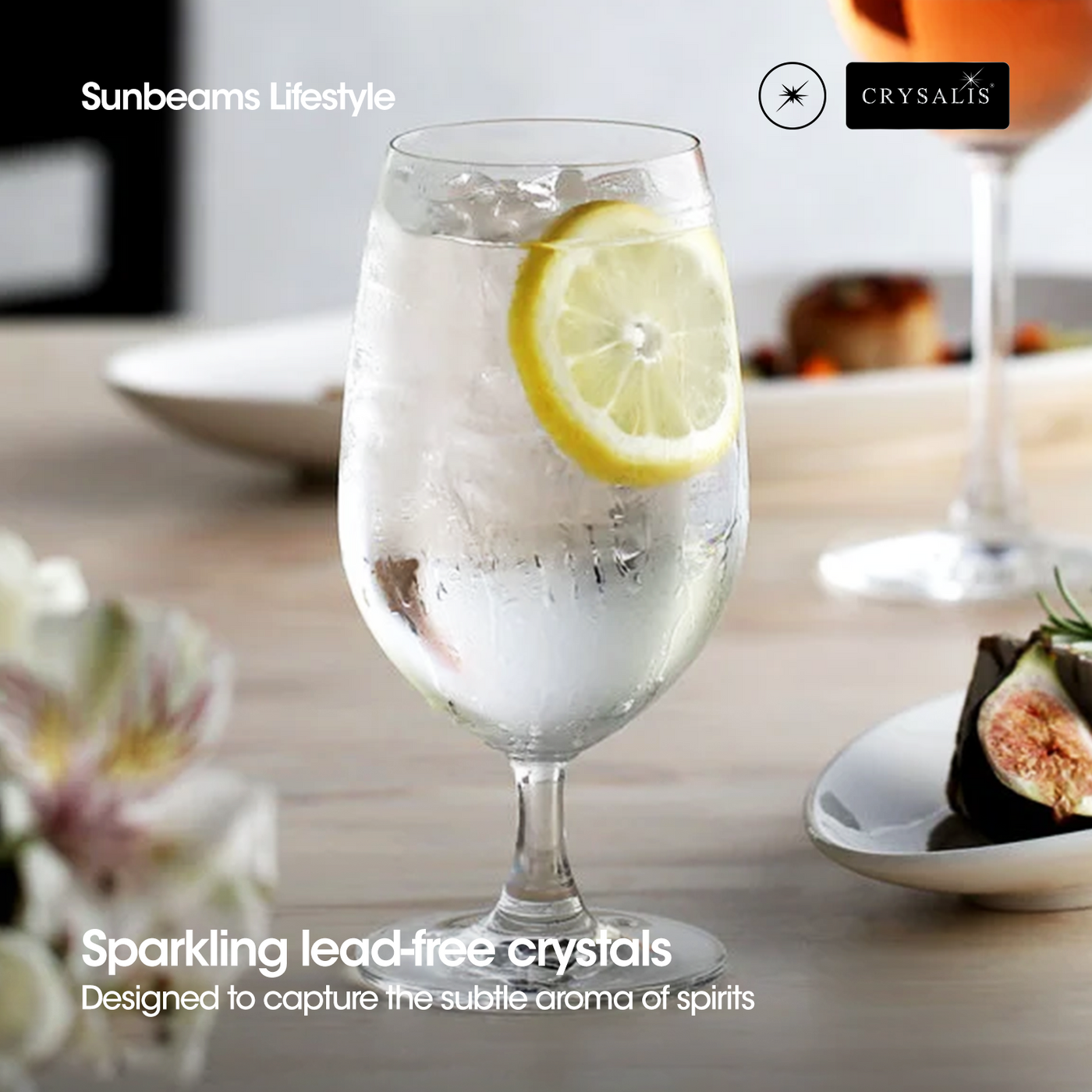 CRYSALIS Premium Crystal Water Goblet Glass [Set of 2] 423ml Stemware