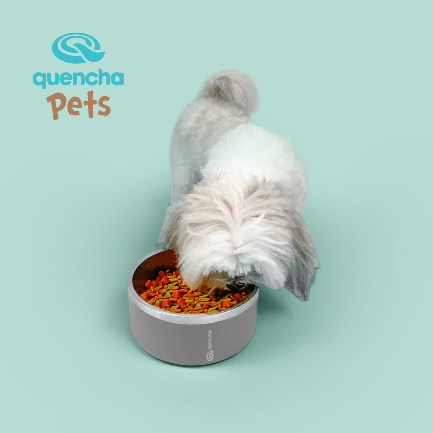 Quencha Double Wall Stainless Steel Pet Bowl