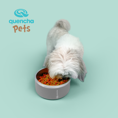 Quencha Double Wall Stainless Steel Pet Bowl