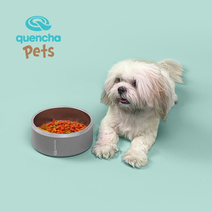 Quencha Double Wall Stainless Steel Pet Bowl