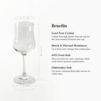 CRYSALIS Premium 12oz Pina Colada Glass Lead-Free Crystal Stemware Set of 2